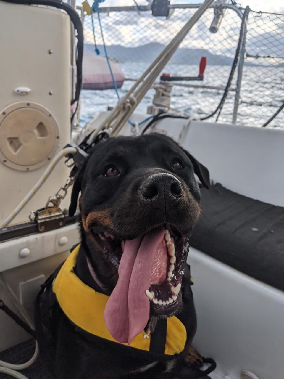 Islay, QuarterMates team member
